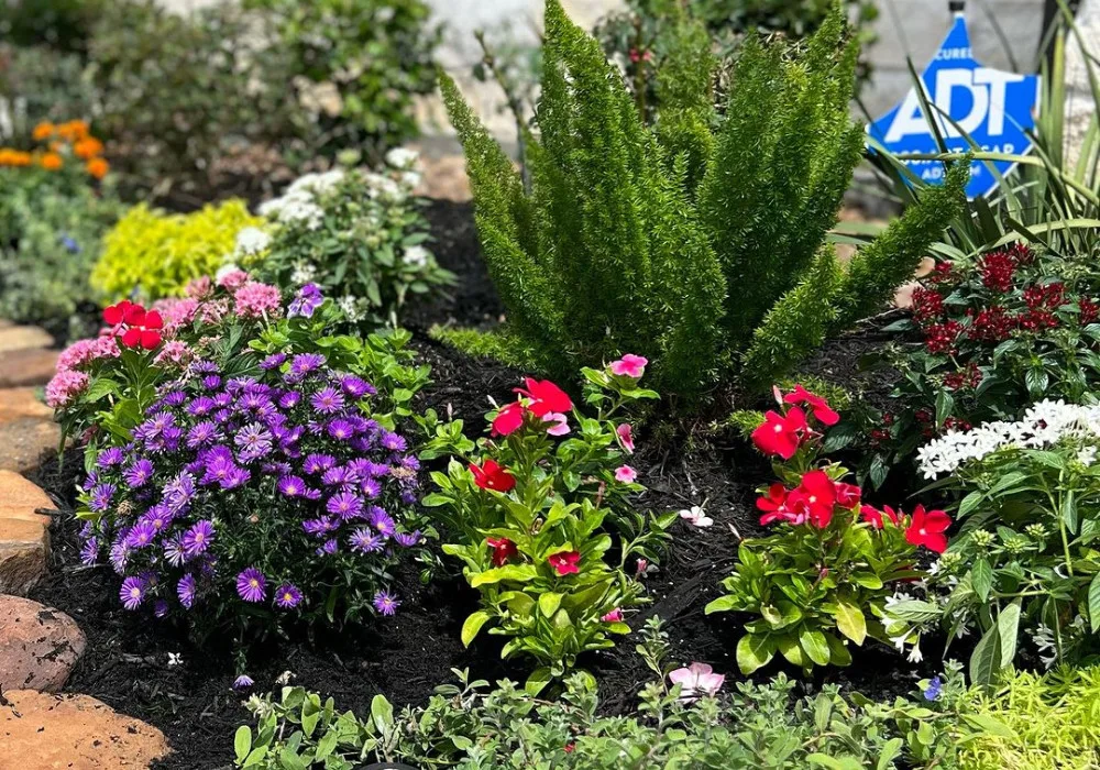 Bright annual flowers adding vibrant color to a professionally landscaped Houston garden