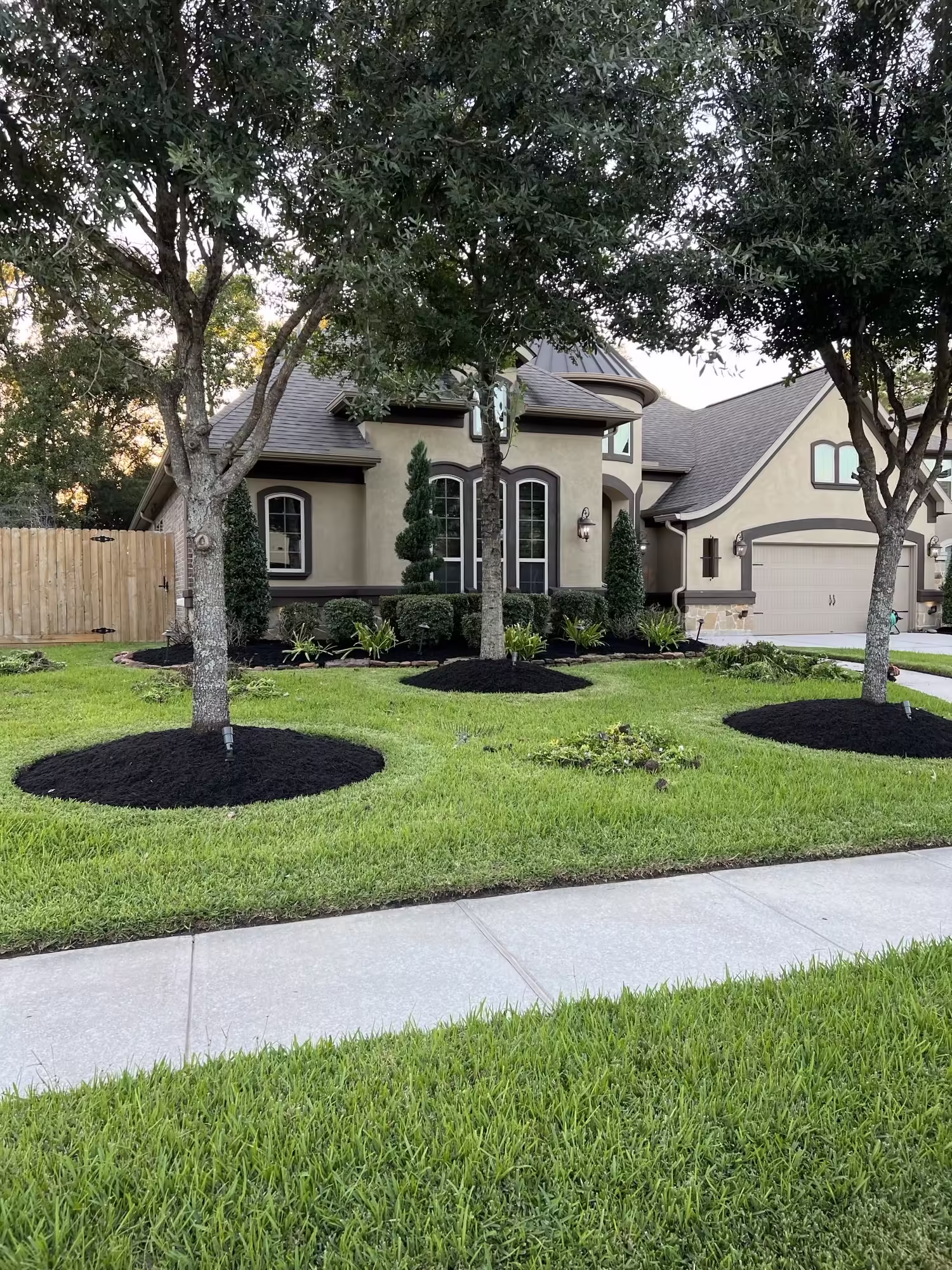 Early Spring Lawn Care in Montrose front yard