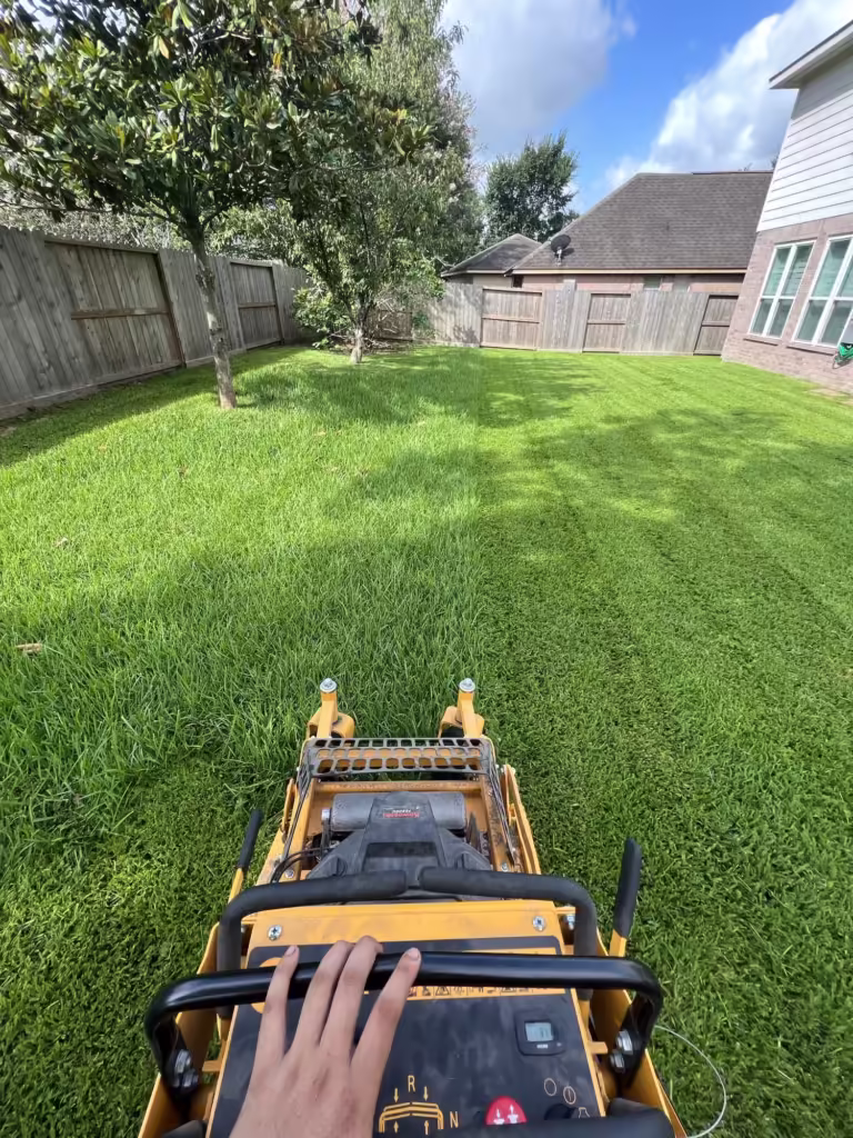 Mowing Healthy St Augustine grass