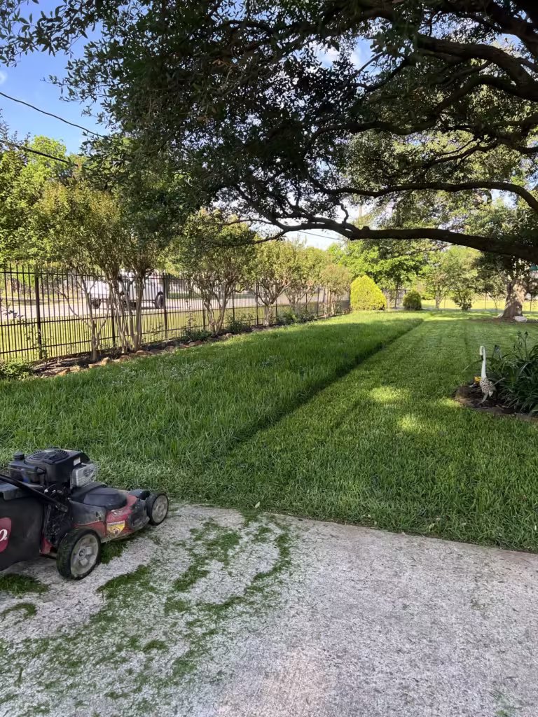 Mowing overgrown St Augustine