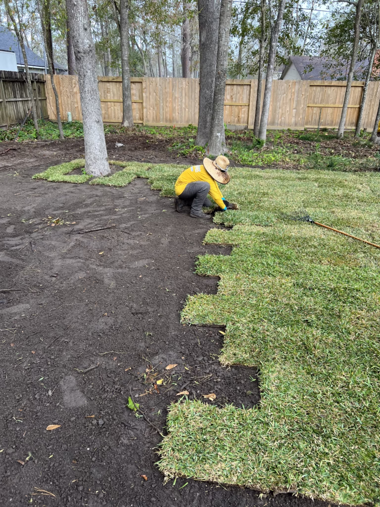 Landscaper installing sod  in a backyard