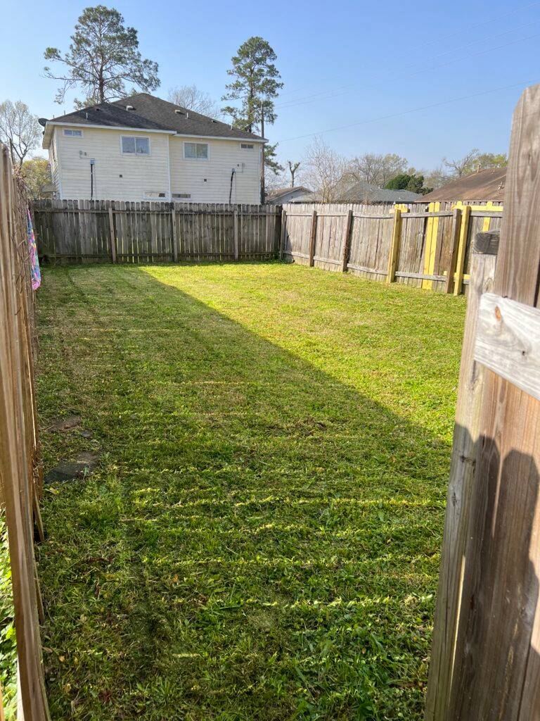 backyard property cleanup after service